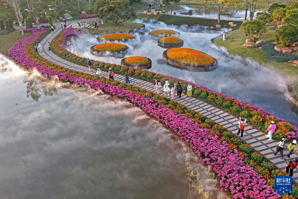 冬日暖阳映花俏