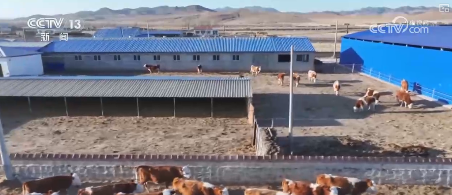 各地细化服务加固大棚、保证热源、加强巡查 办实民生小事保障百姓生产生活