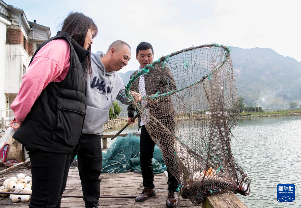 赤溪村的乡村振兴新气象