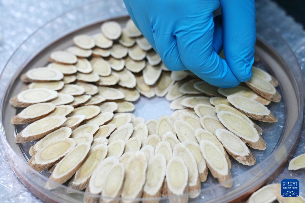 宁夏隆德:深化闽宁协作 打造中药材产业高地