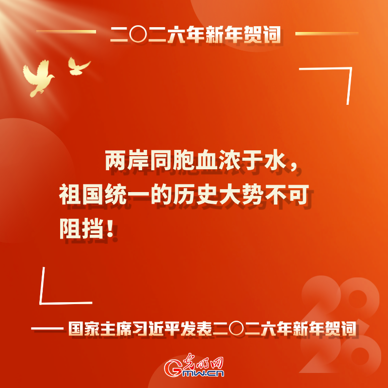 岁序更替 华章日新 习近平二〇二六年新年贺词鼓舞人心
