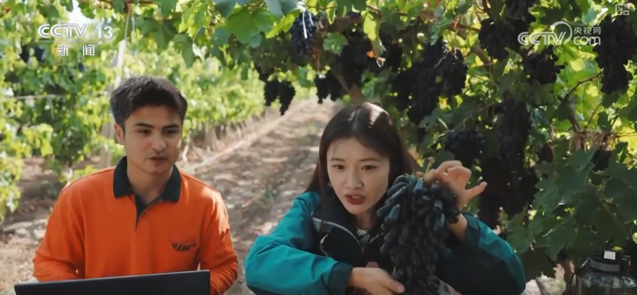 智慧赋能流通“大动脉” 透视物流业“含金量”十足数据解锁经济新“动”力