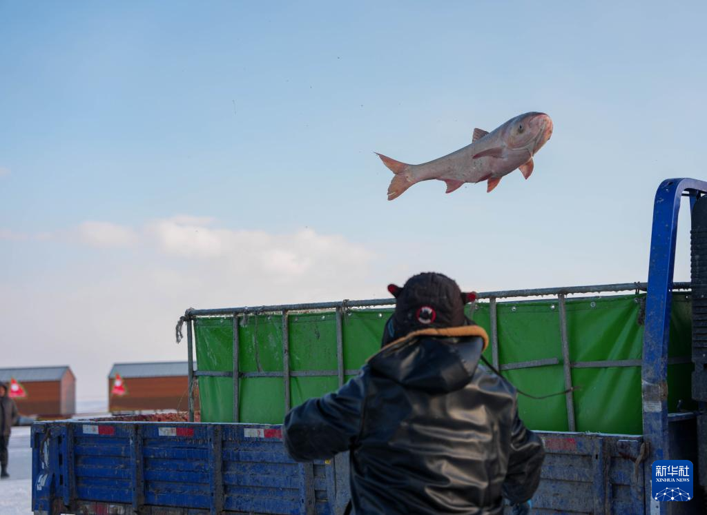 冰湖腾鱼 在查干湖感受冬捕魅力