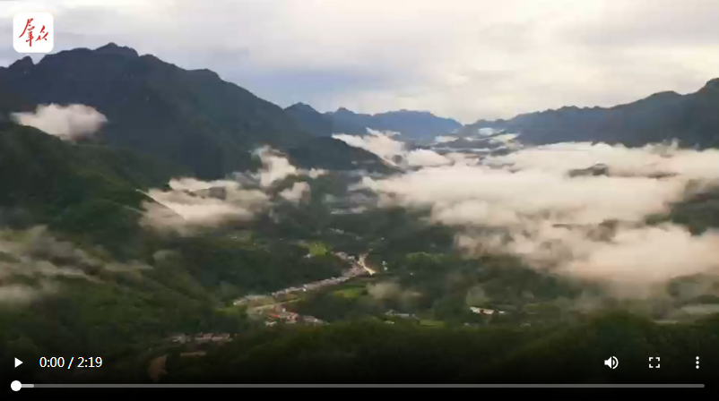 群众当“主角” 文化润城乡