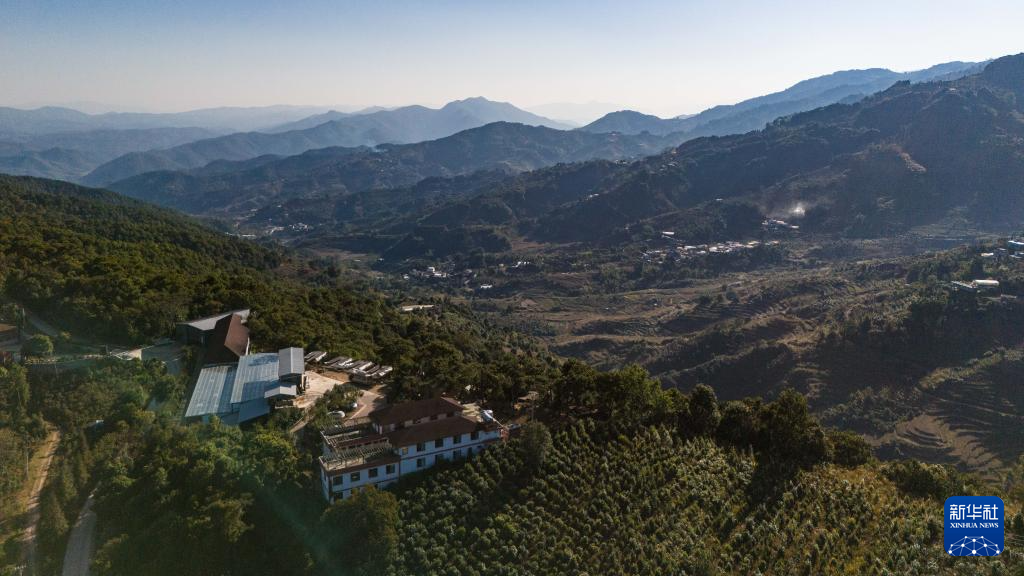 云南临沧:构建咖啡“从种到杯”全产业链