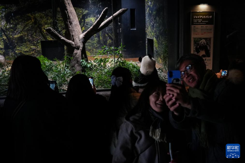 大熊猫“晓晓”和“蕾蕾”将于27日从日本回国