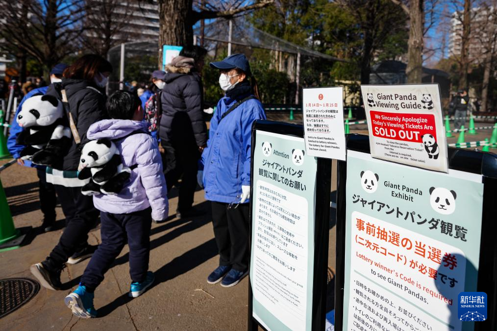 大熊猫“晓晓”和“蕾蕾”将于27日从日本回国