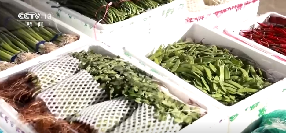 备年货、品美食、活力足,迎新春!各地“年味”上线氛围感已拉满
