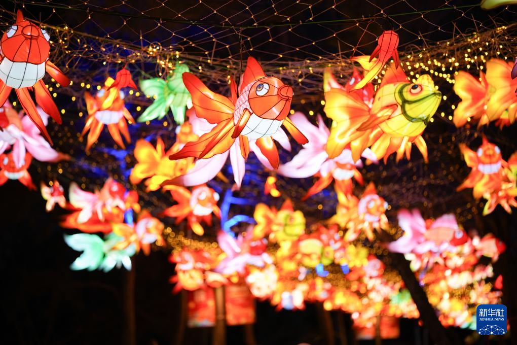 北京:2026圆明园新春灯会启幕