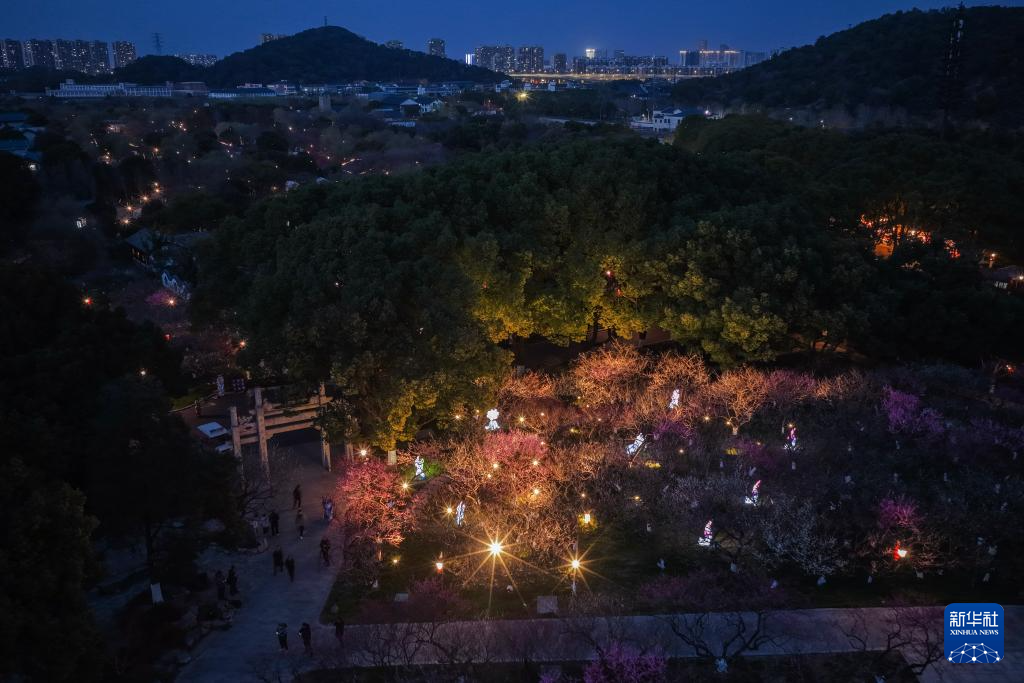 杭州赏梅胜地开启特色夜游赏梅活动