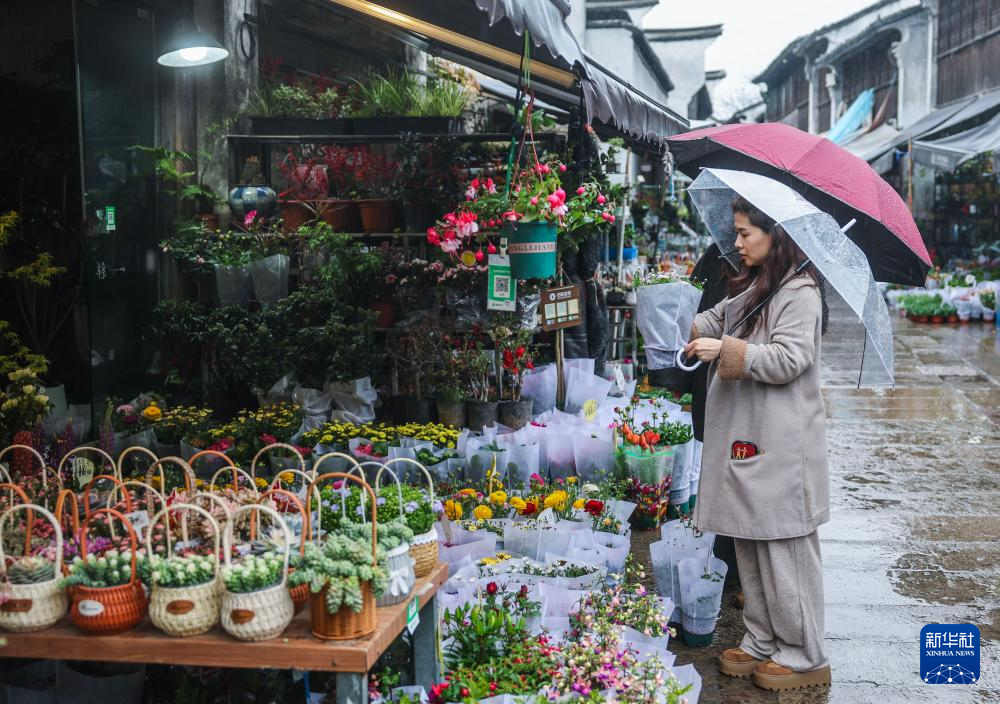 浙江嘉兴:月河古街迎来春日鲜花消费季