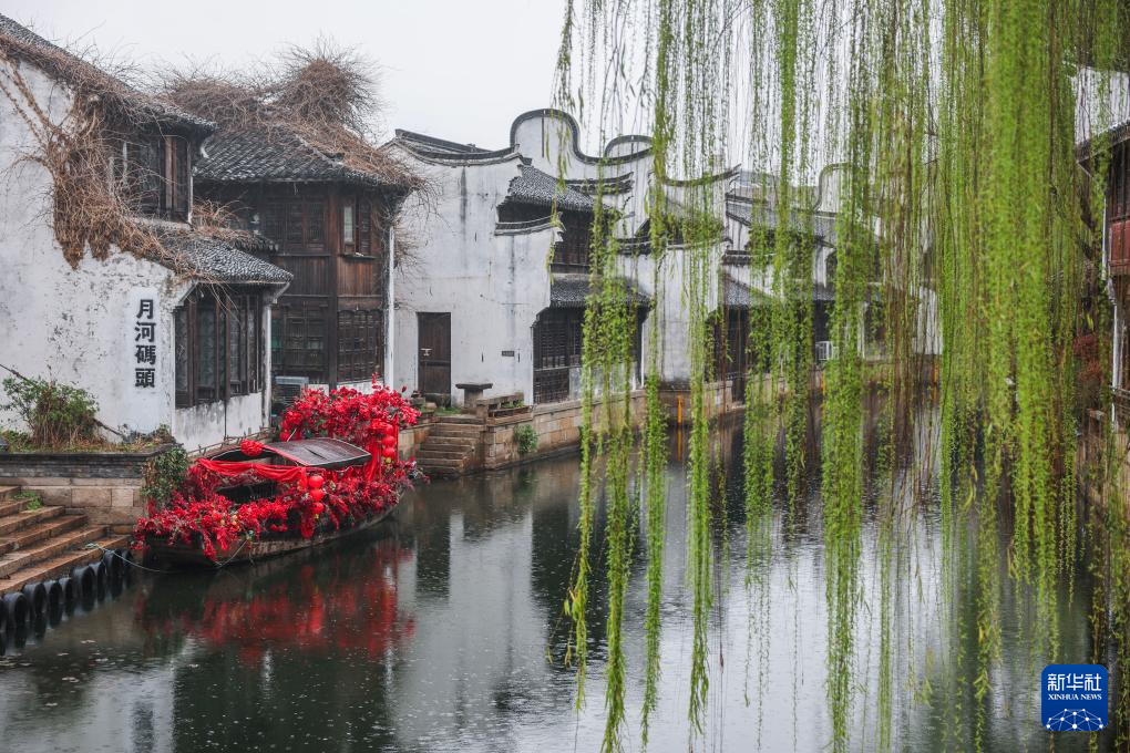 浙江嘉兴:月河古街迎来春日鲜花消费季