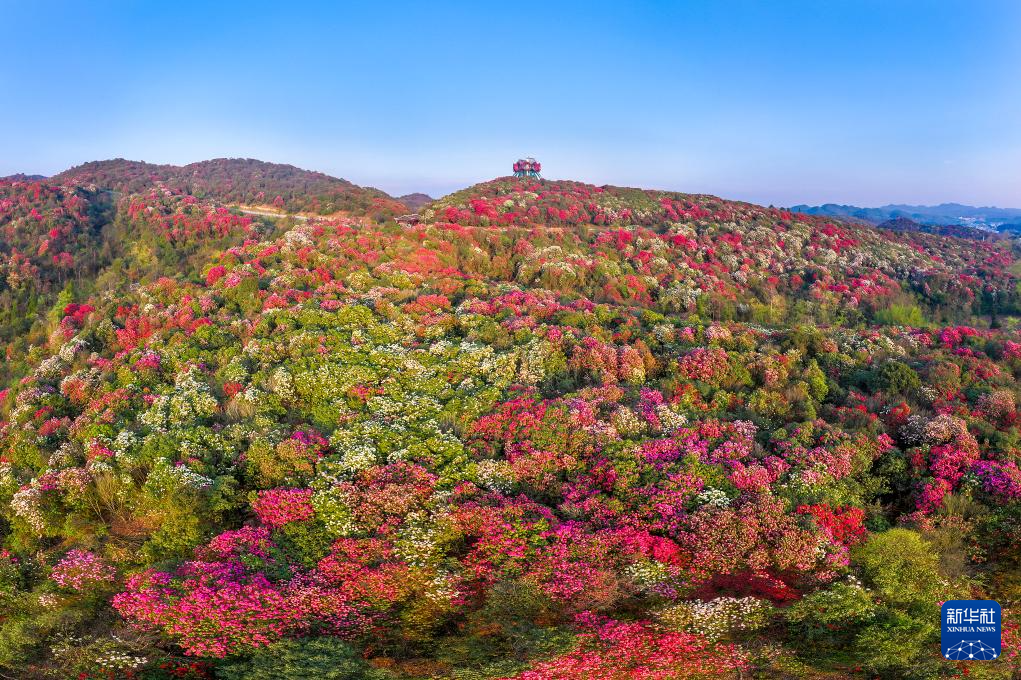 “地球彩带”孕育火热“花经济”