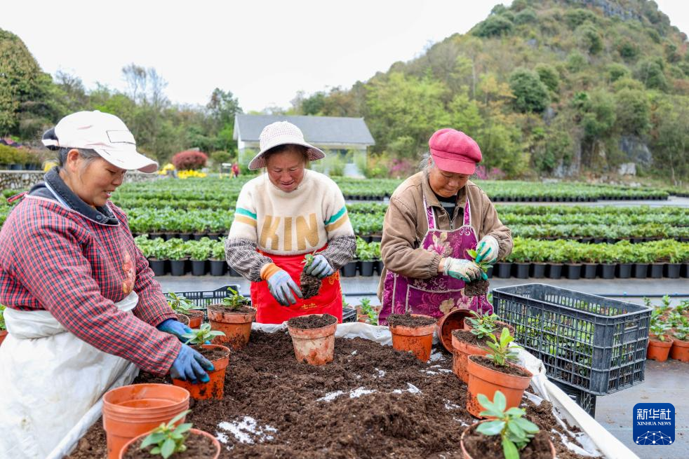 “地球彩带”孕育火热“花经济”