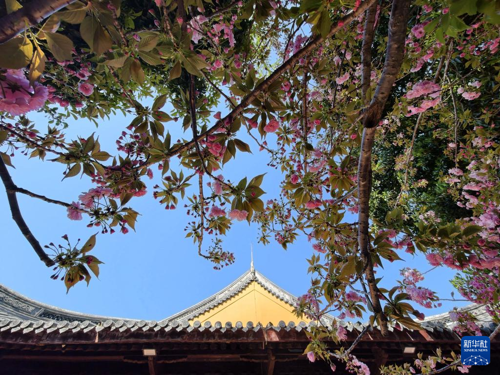 上海春意浓