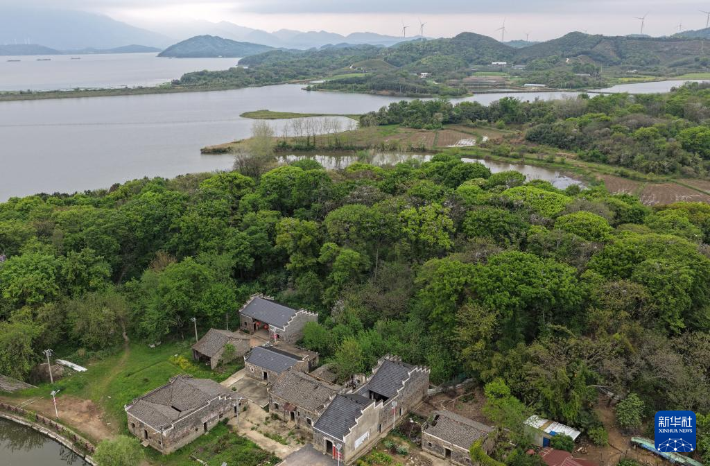 鄱阳湖畔苍鹭村:28年守护 人鸟共家园