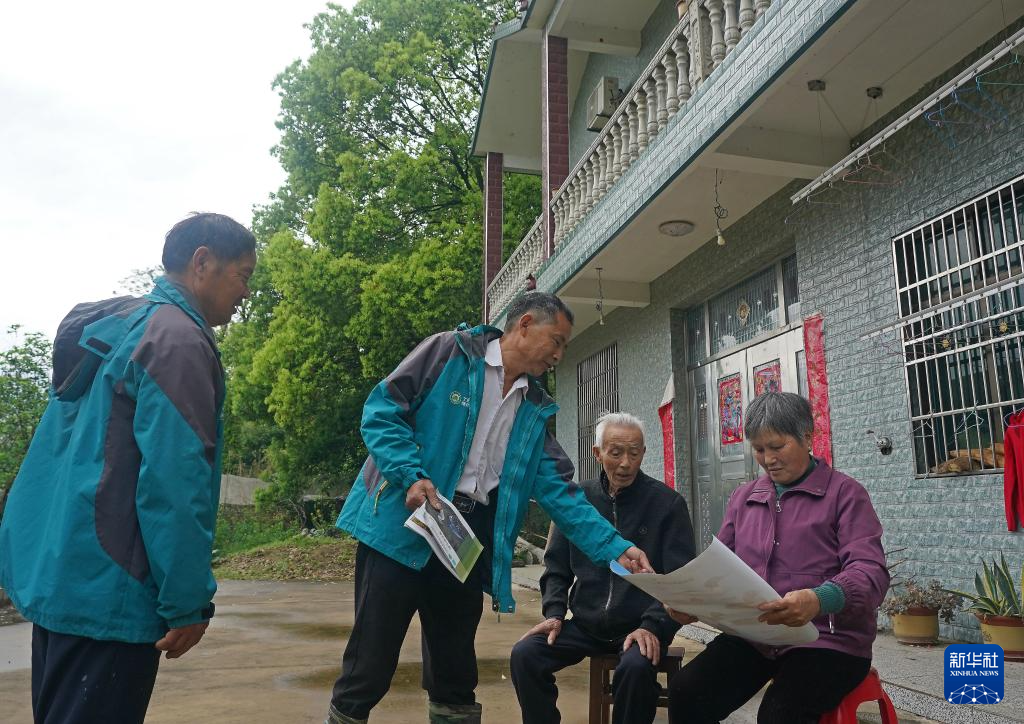 鄱阳湖畔苍鹭村:28年守护 人鸟共家园