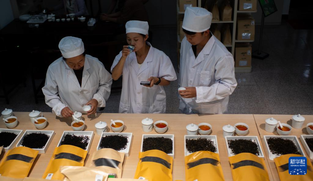 云南临沧:品荐溯源助力茶叶畅销