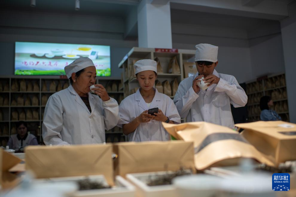 云南临沧:品荐溯源助力茶叶畅销