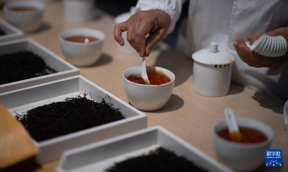 云南临沧:品荐溯源助力茶叶畅销