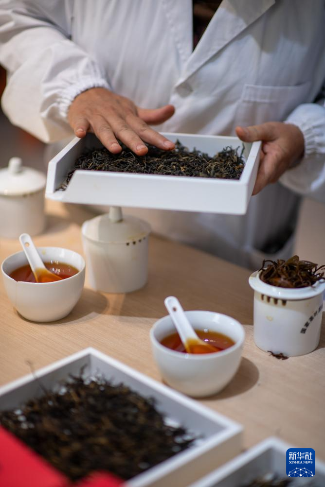 云南临沧:品荐溯源助力茶叶畅销