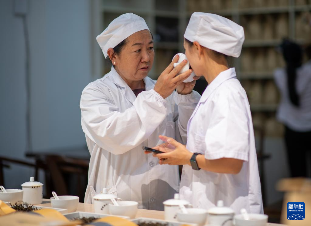 云南临沧:品荐溯源助力茶叶畅销