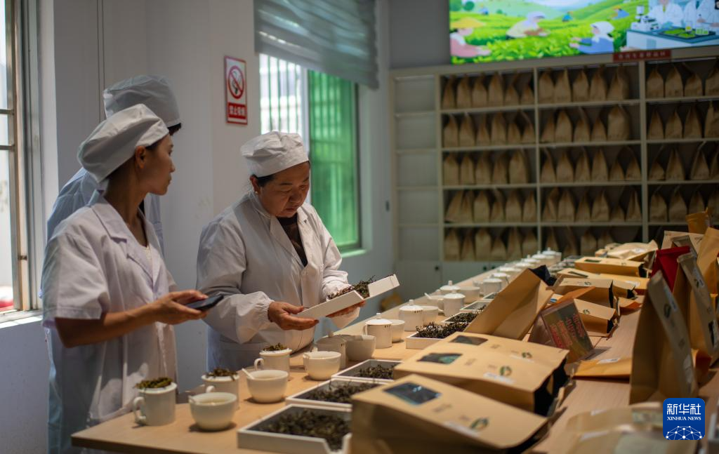 云南临沧:品荐溯源助力茶叶畅销