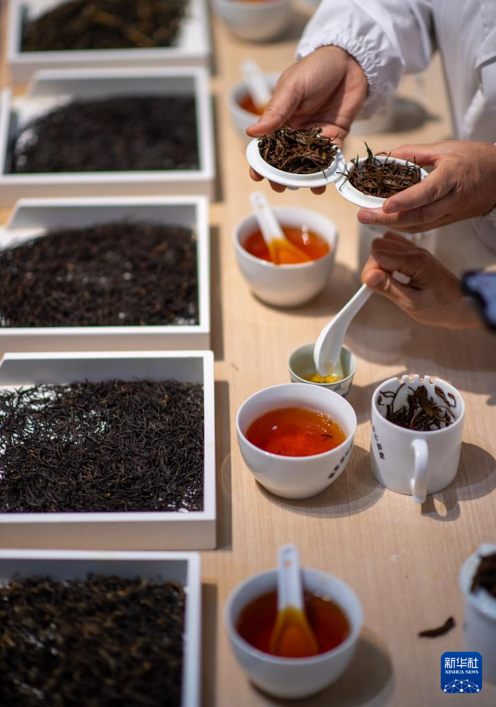云南临沧:品荐溯源助力茶叶畅销