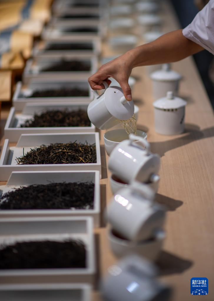 云南临沧:品荐溯源助力茶叶畅销