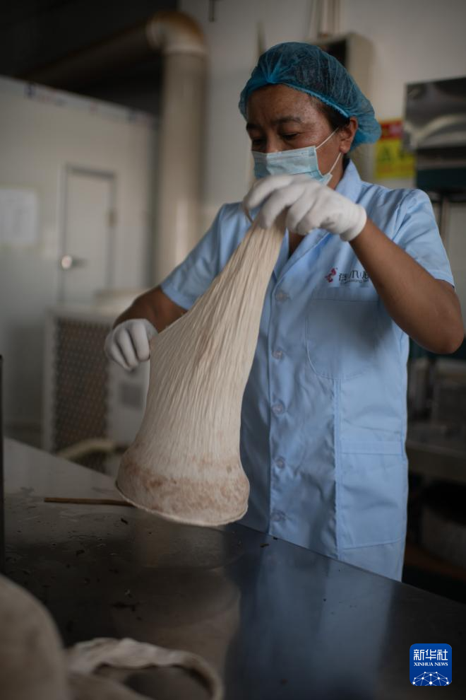云南临沧:品荐溯源助力茶叶畅销