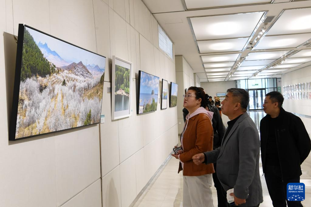 生态主题作品展倡绿色低碳生活方式