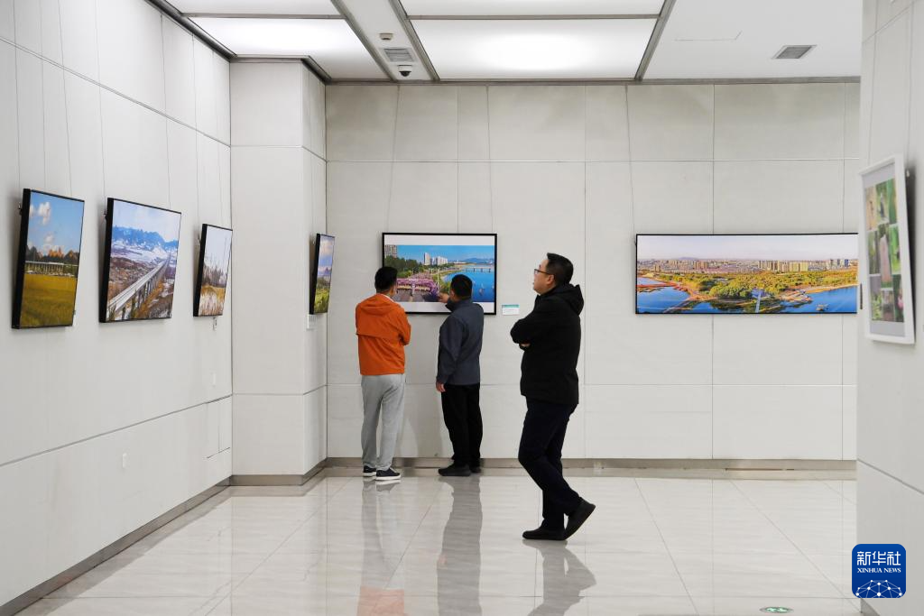 生态主题作品展倡绿色低碳生活方式