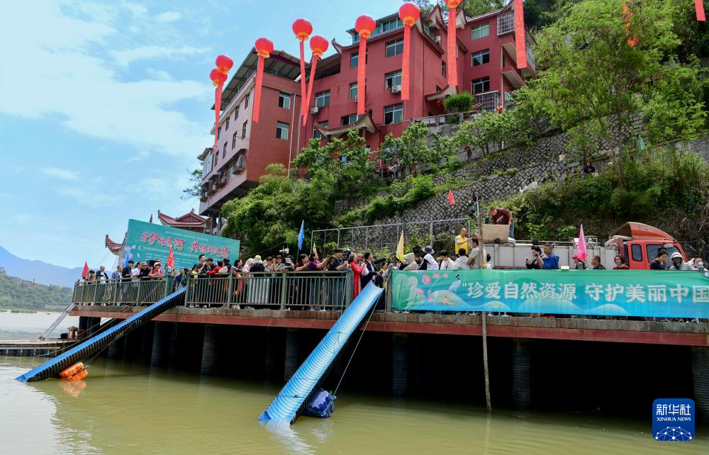 福建:守护母亲河 共续闽江情