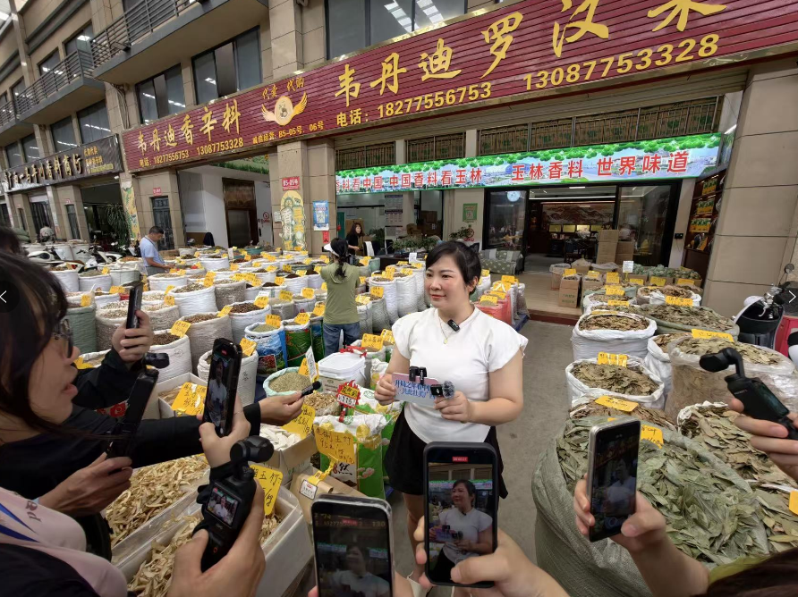 出发,看壮美广西!“开局之年看中国·共此壮美广西”网络主题宣传活动启动 出发,看壮美广西!“开局之年看中国·共此壮美广西”网络主题宣传活动启动