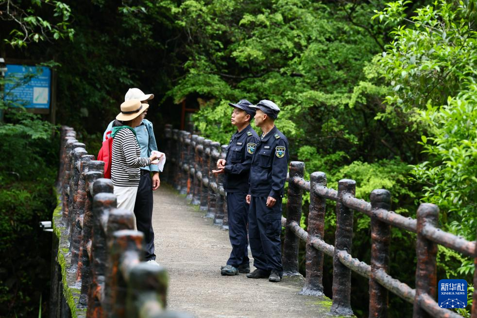 图片故事丨武夷山国家公园的守护者:巡山护林 种茶兴业