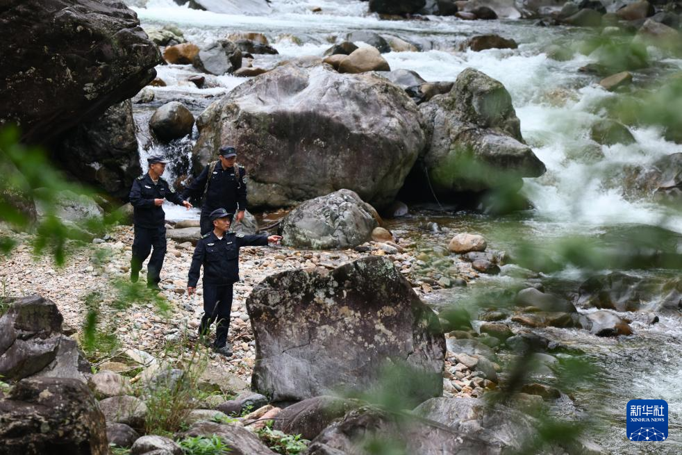 图片故事丨武夷山国家公园的守护者:巡山护林 种茶兴业