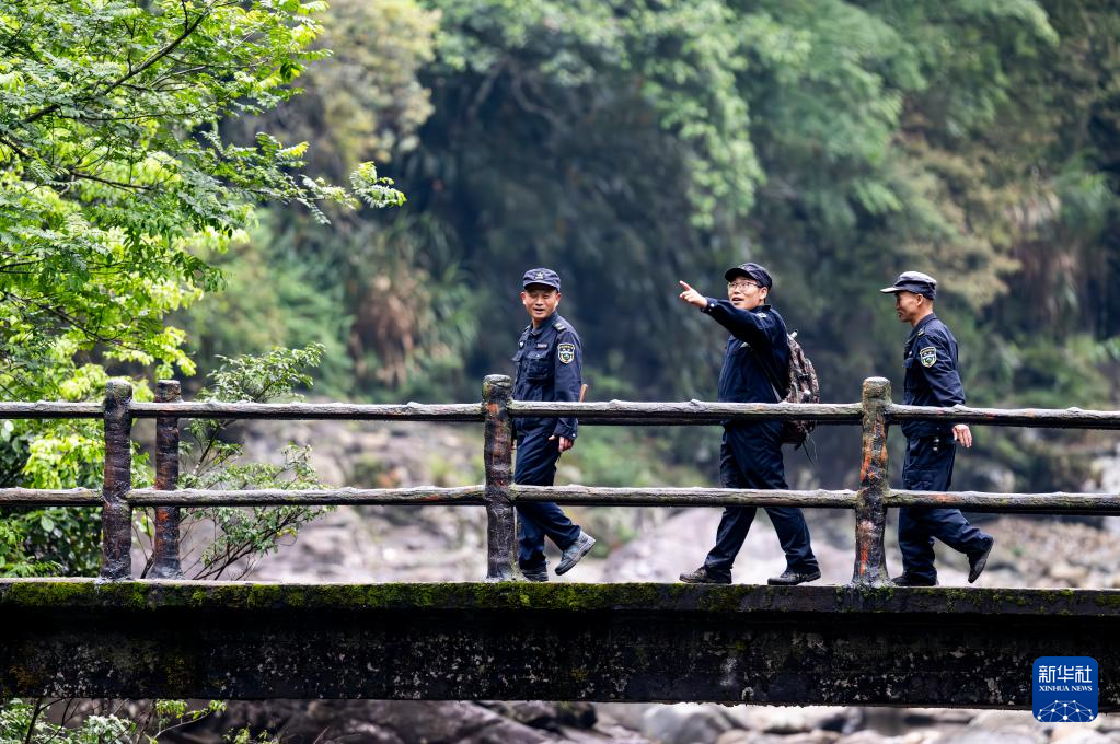 图片故事丨武夷山国家公园的守护者:巡山护林 种茶兴业