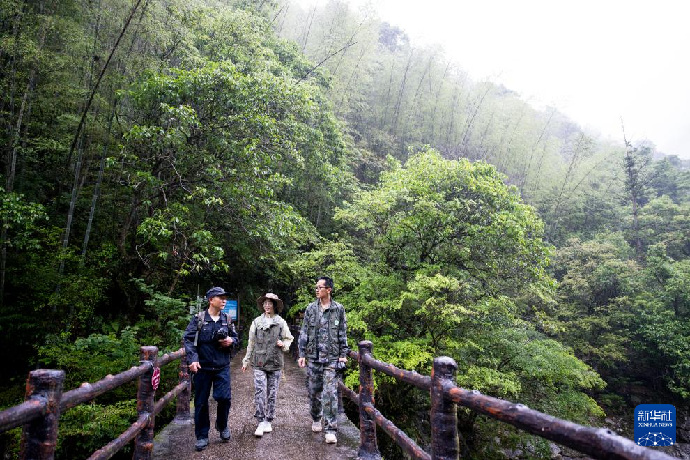 图片故事丨武夷山国家公园的守护者:巡山护林 种茶兴业