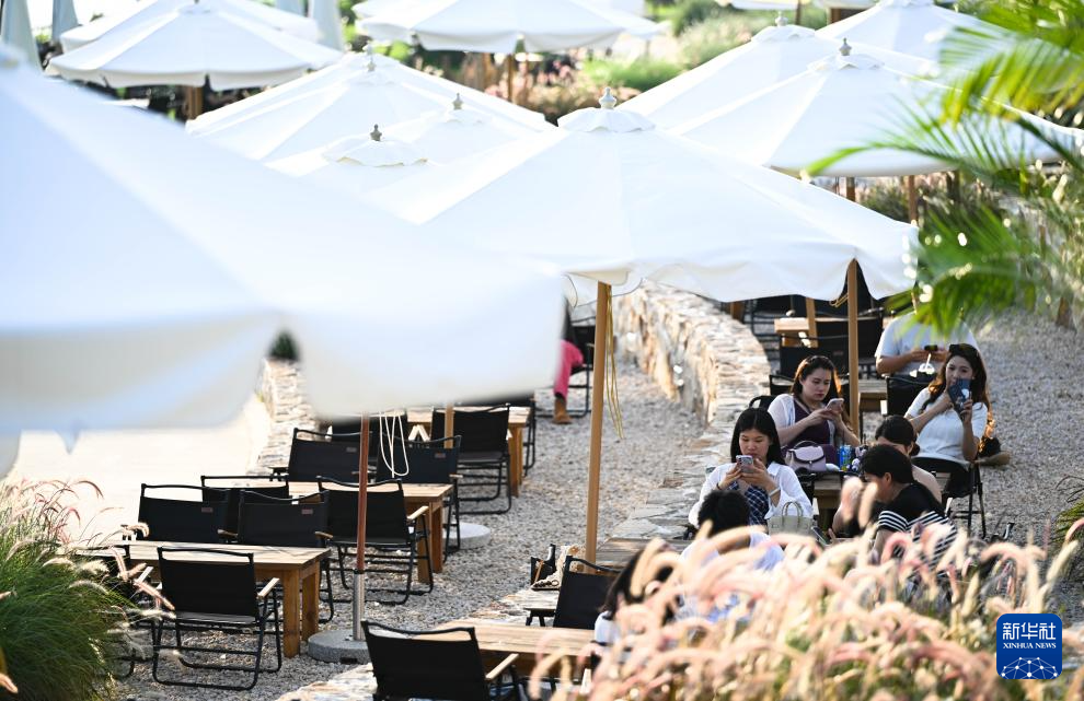 从“豆子”到“杯子” 江门打造咖啡产业全链条体系
