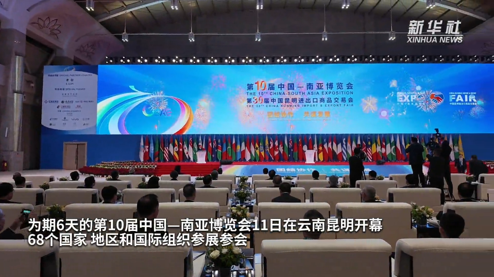 深耕全球朋友圈 多国客商赴约南博会