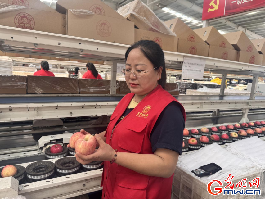 开局之年看中国｜黄土高原上的“苹果掌柜”