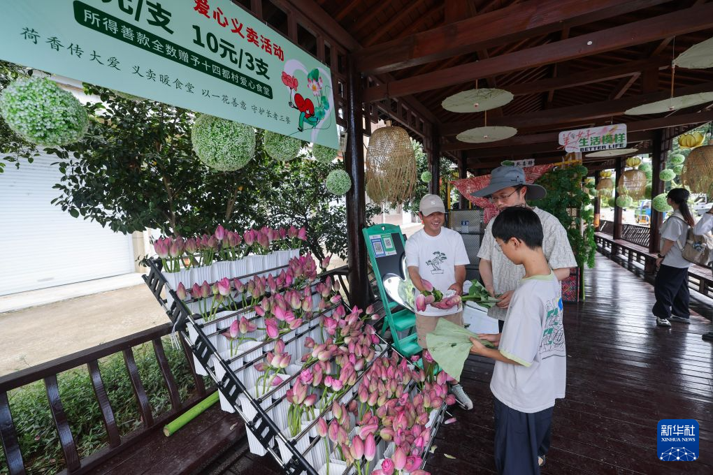 美丽乡村开启夏日荷文化旅游季