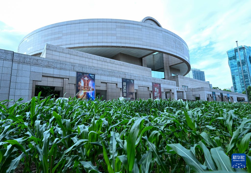 “世界树之巅:美洲古代文明大展”在上海博物馆开幕