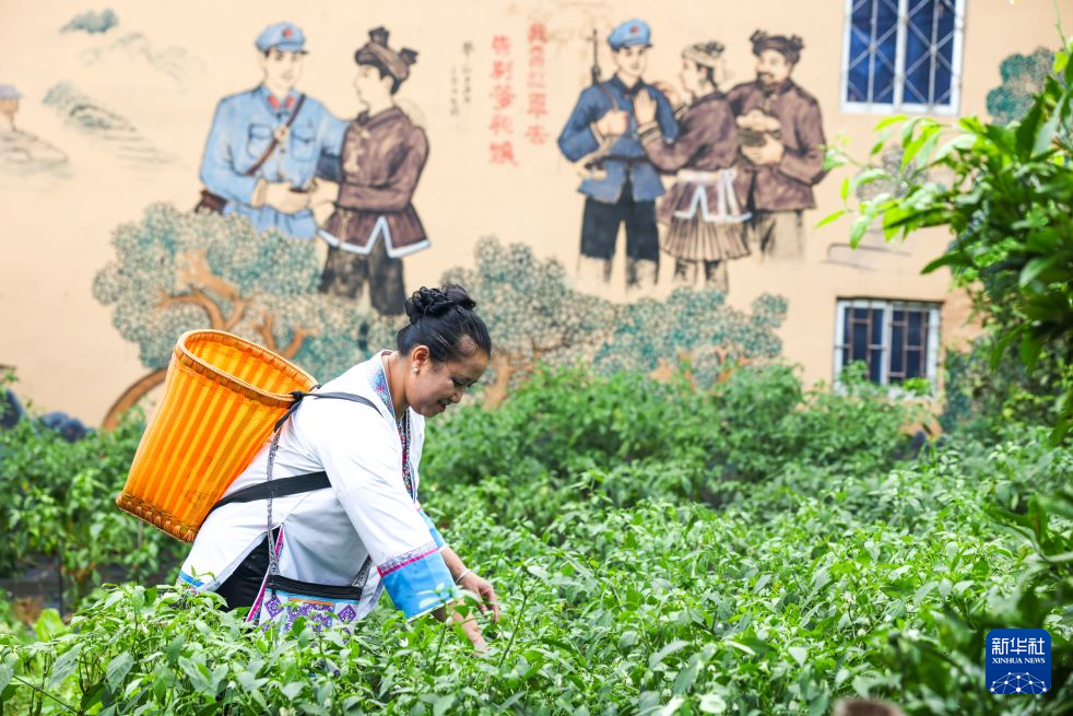 一个“红军村”,长征精神代代传