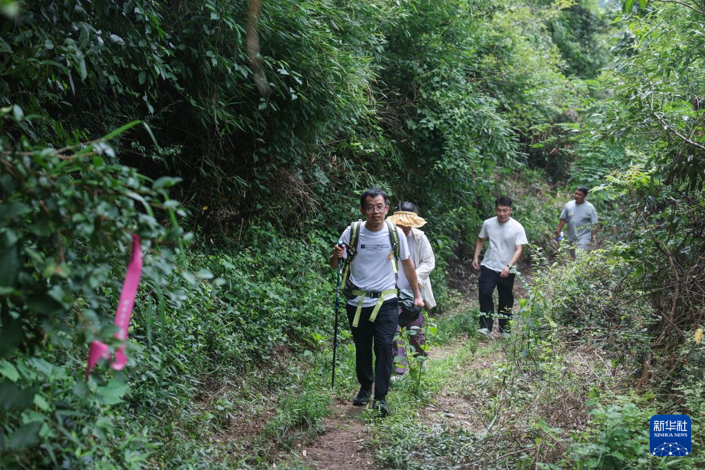 夏日徒步游助力山乡特色文旅消费