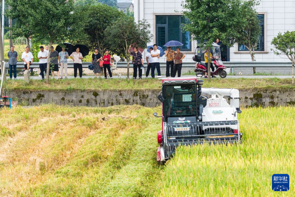 湖南望城:智慧农场“双抢”忙