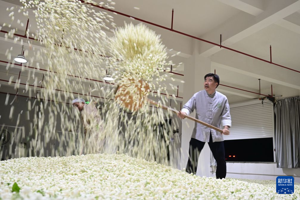 福州:非遗茶香赋能文旅新发展