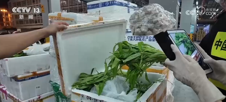 人旺、货畅,大桥连万家!解锁港珠澳大桥假日“新”变化