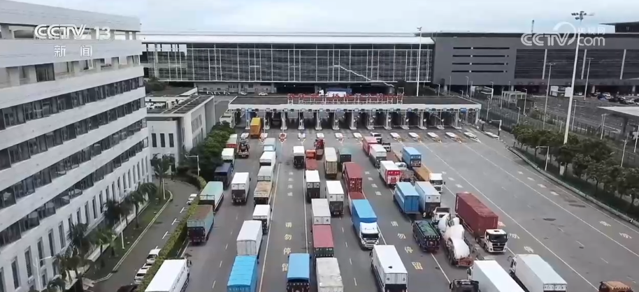 人旺、货畅,大桥连万家!解锁港珠澳大桥假日“新”变化